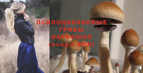 дурь Арсеньев