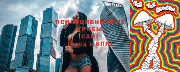крисы Армянск