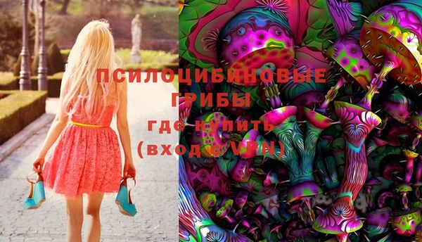 крисы Армянск