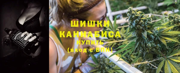 крисы Армянск