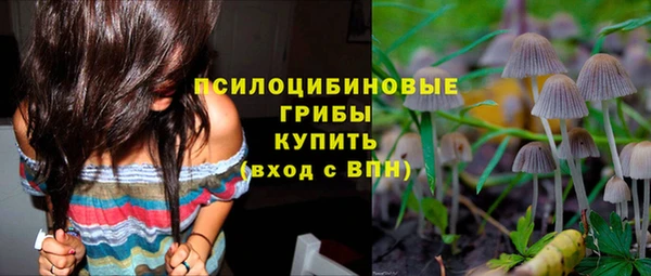 дурь Арсеньев