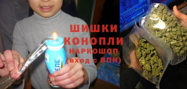 крисы Армянск