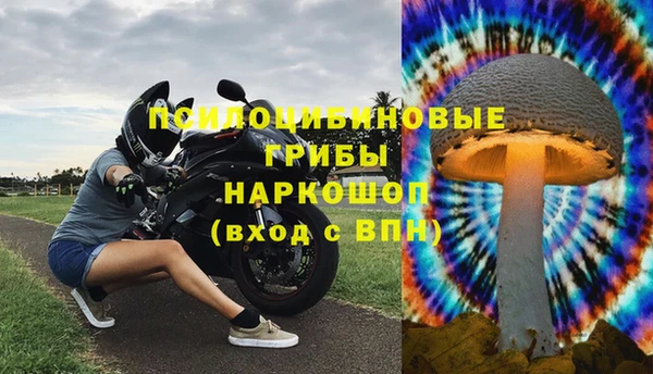 индика Аркадак