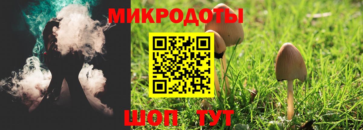 Галлюциногенные грибы GOLDEN TEACHER  даркнет сайт  Ахтубинск  Вход с VPN 